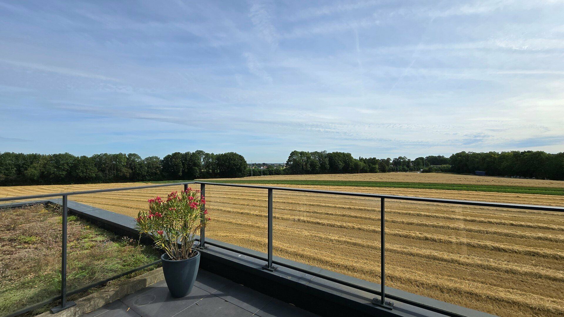 Appartement te huur in STERREBEEK