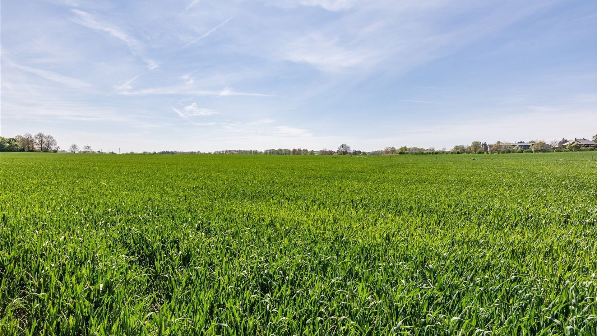 Bouwgrond te koop in HAASRODE