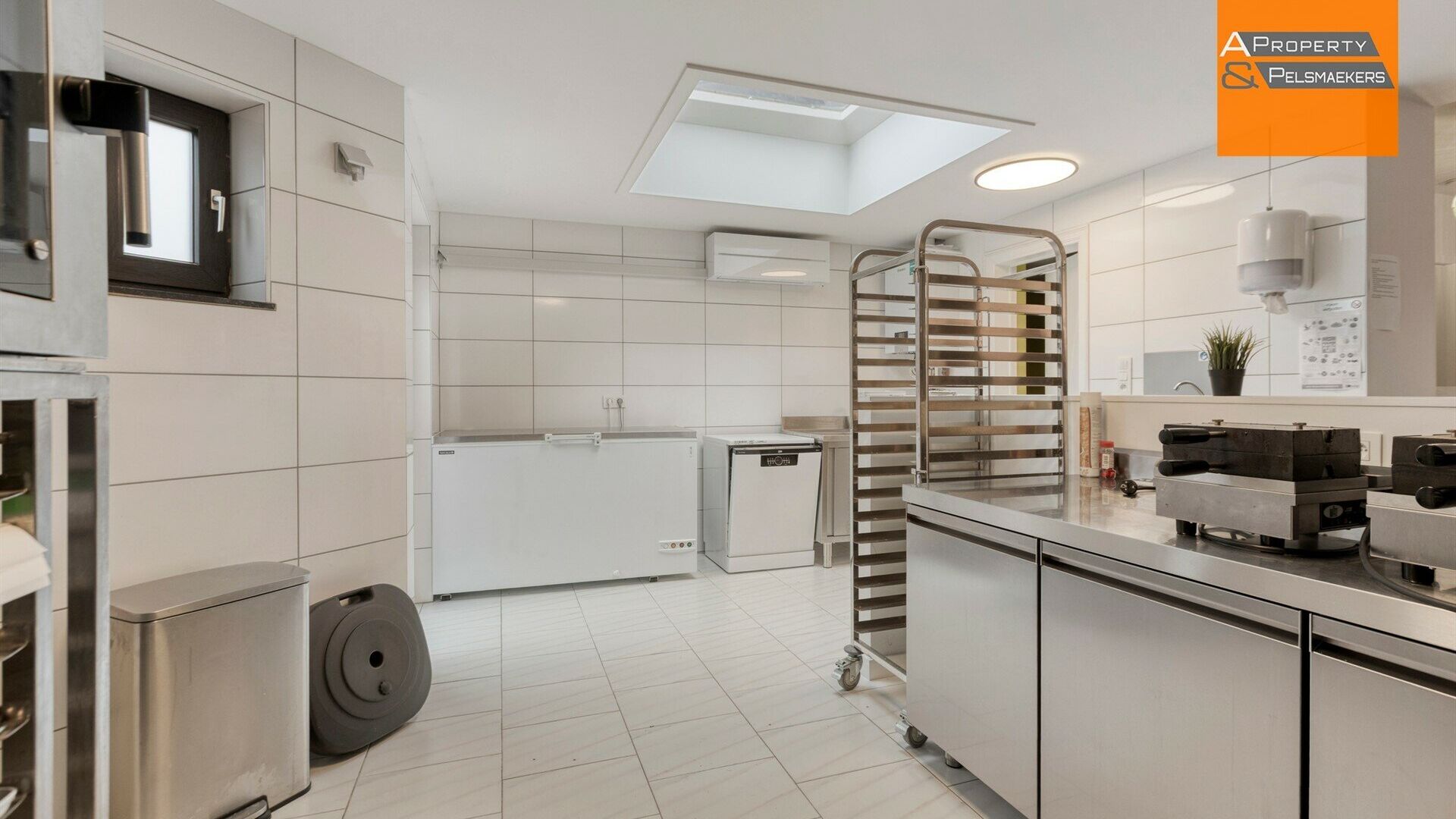 Handelspand te koop in STERREBEEK