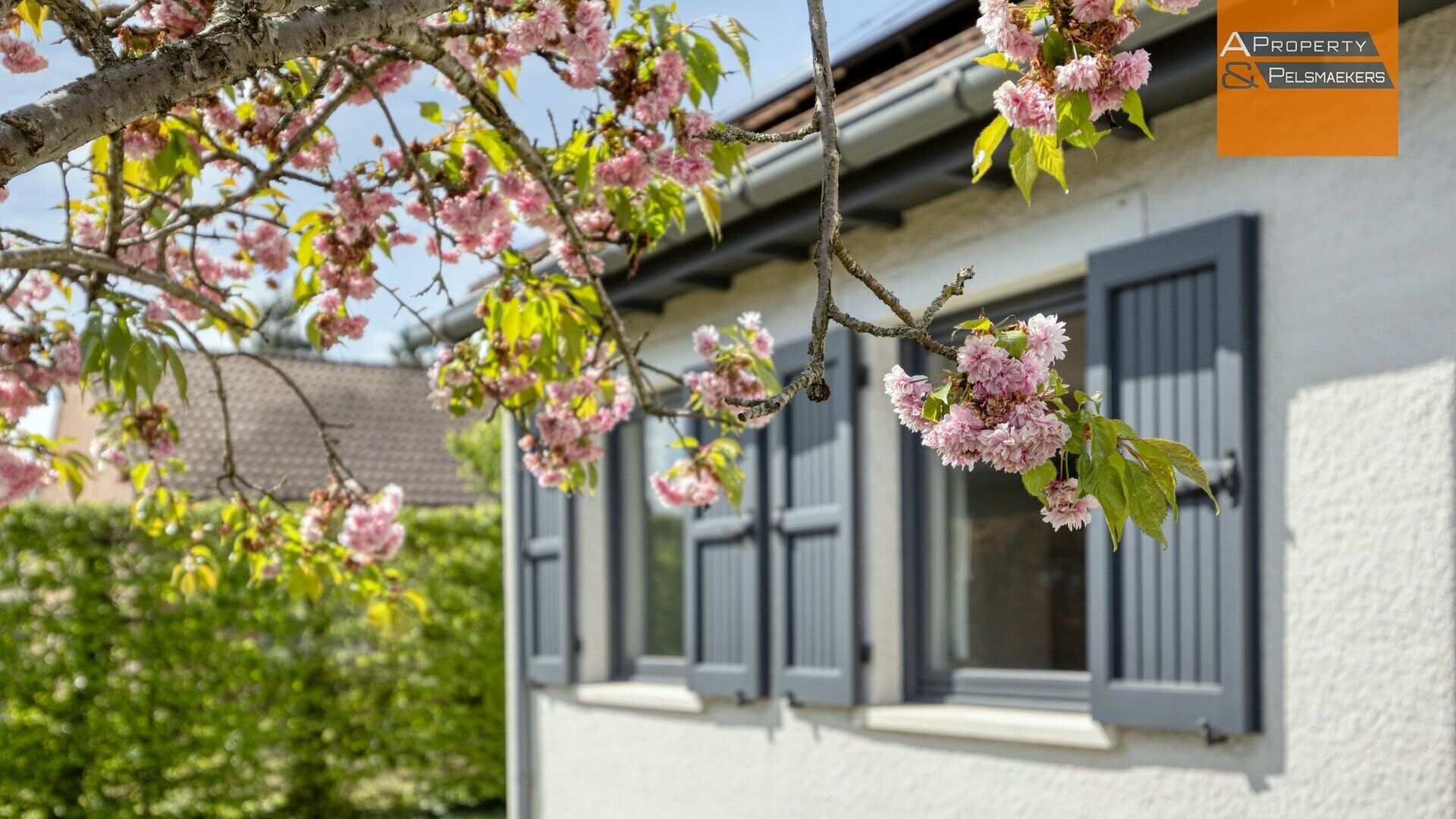 Huis te koop in KORTENBERG